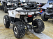 Квадроцикл PROMAX WILD 2.0 190 LUX в Вологде