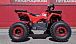 Квадроцикл PROMAX WILD 175 BASIC в Вологде