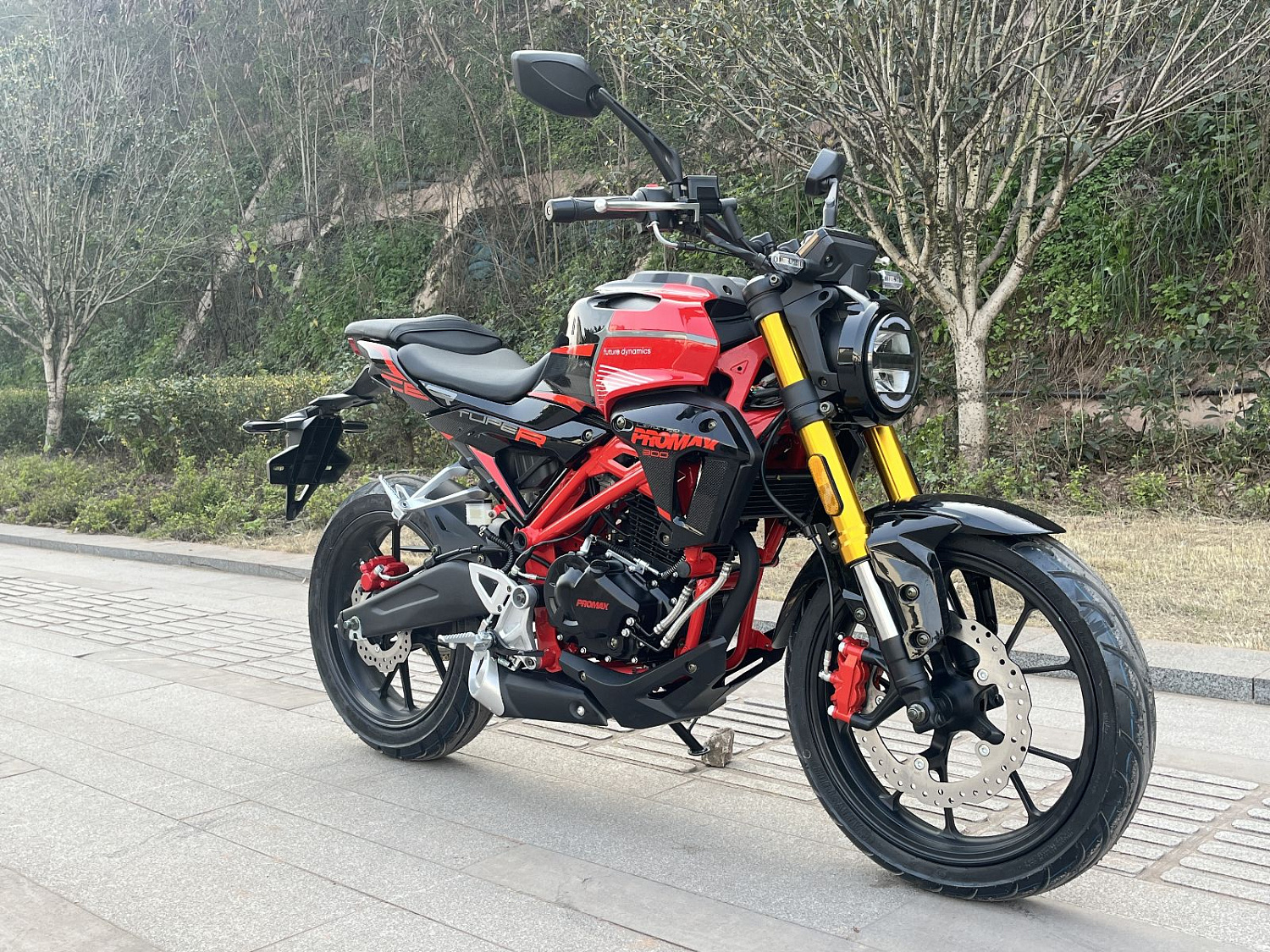 Мотоцикл PROMAX CB300 в Вологде