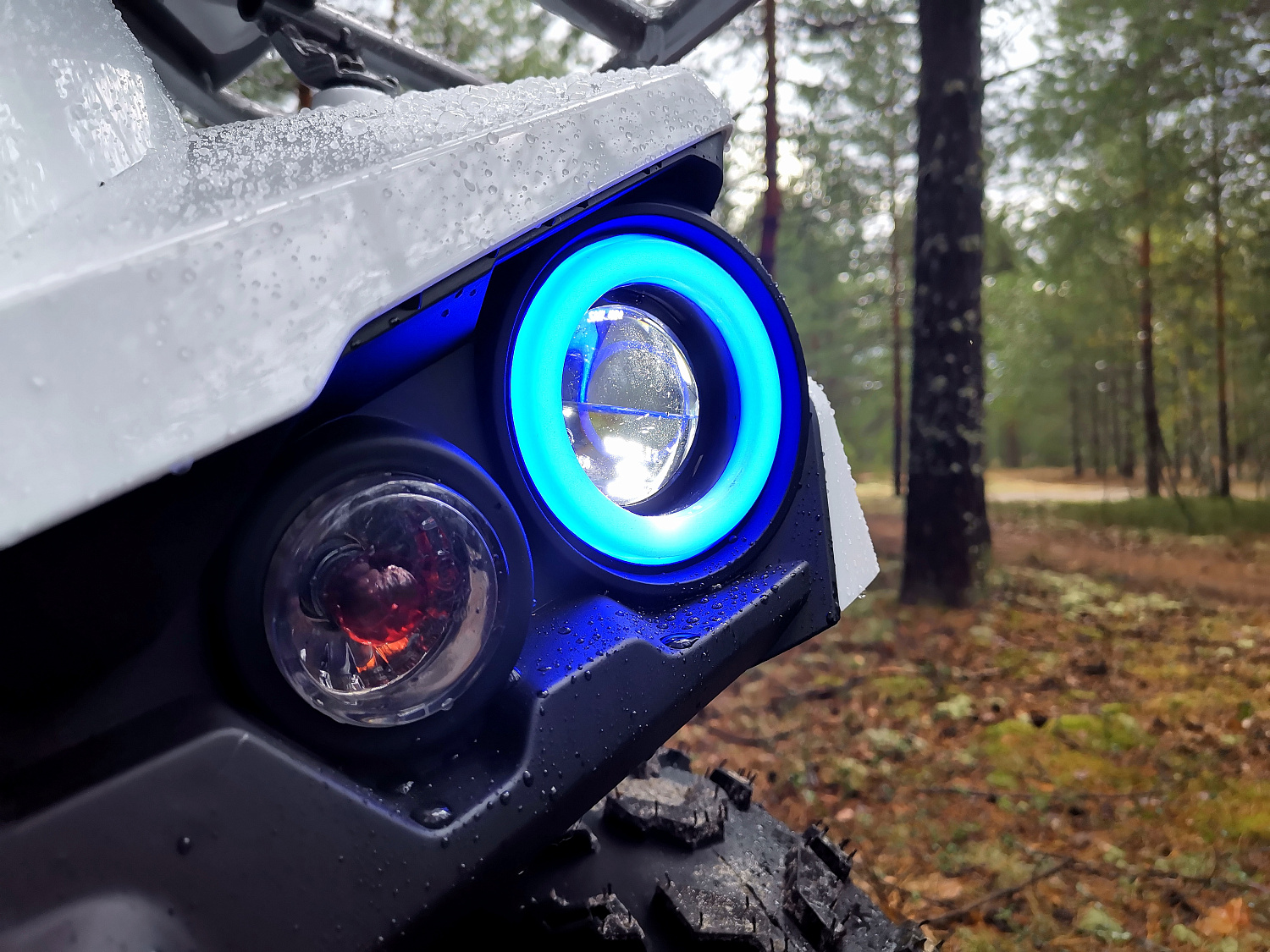 Квадроцикл PROMAX RENEGADE 280 (2025) в Вологде