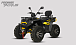 Квадроцикл PROMAX TAURUS 300 MAX-PRO LONG в Вологде
